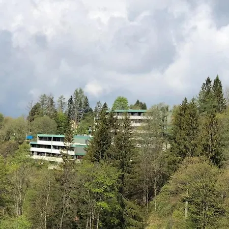 Harzgruen 4 - Mit Balkon Und Weitblick Apartment *