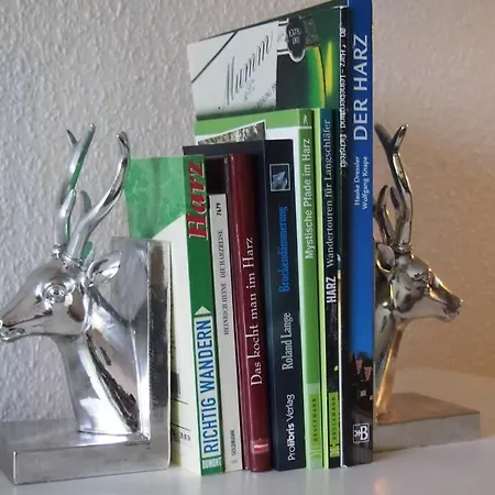 Harzblick -neu Modernisiert- شقة سانكت اندرياسبرغ