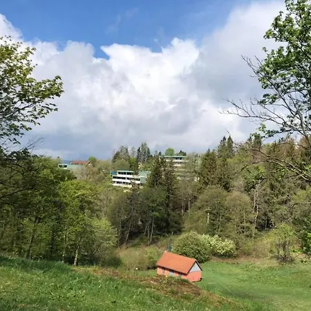 Harzgruen 4 - Mit Balkon Und Weitblick *