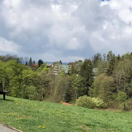 Harzgruen 4 - Mit Balkon Und Weitblick Apartment