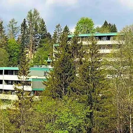 Harzgruen 4 - Mit Balkon Und Weitblick