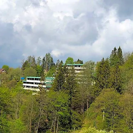 Harzgruen 4 - Mit Balkon Und Weitblick Appartement