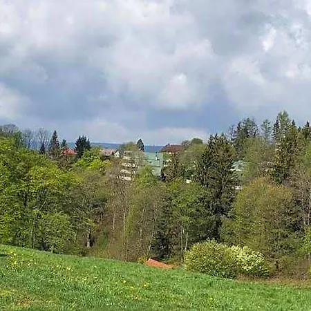 Harzgruen 4 - Mit Balkon Und Weitblick Appartement *