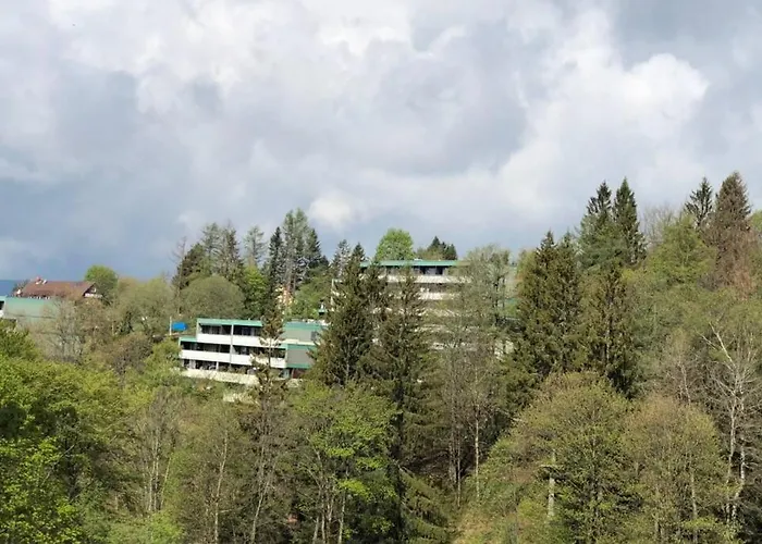 Harzblick -neu Modernisiert- Daire *