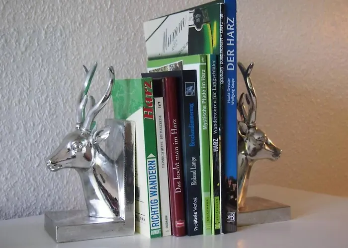 Harzblick -neu Modernisiert- Daire Sankt Andreasberg