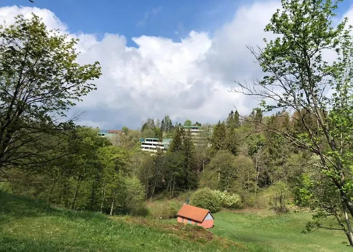 Harzblick -neu Modernisiert- *