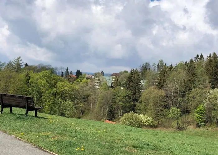 Harzblick -neu Modernisiert- Daire